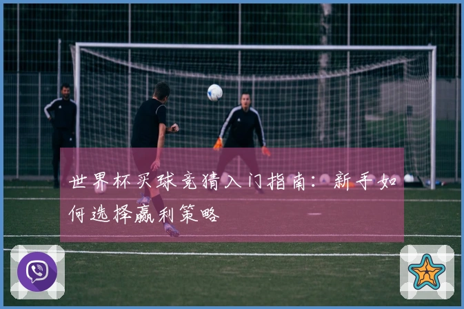 世界杯买球竞猜入门指南：新手如何选择赢利策略