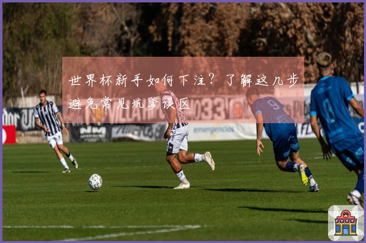 世界杯新手如何下注？了解这几步避免常见坑爹误区