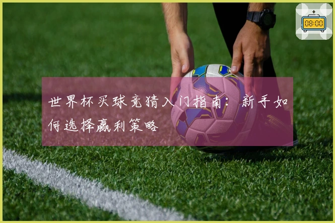 世界杯买球竞猜入门指南：新手如何选择赢利策略