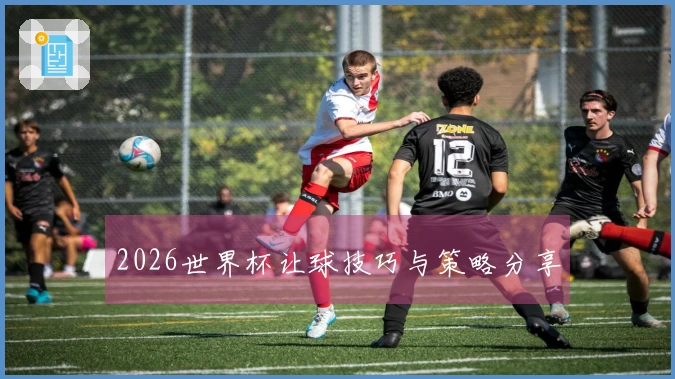 2026世界杯让球技巧与策略分享