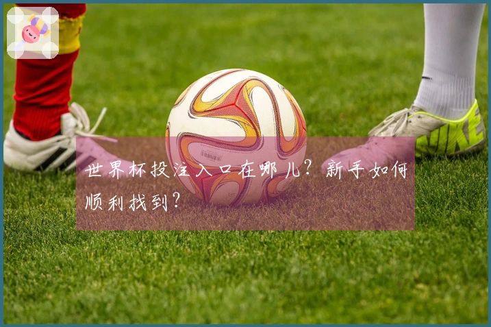 世界杯投注入口在哪儿？新手如何顺利找到？
