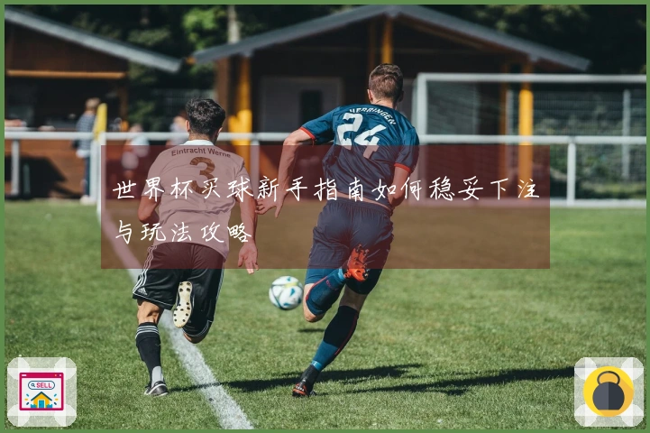 世界杯买球新手指南如何稳妥下注与玩法攻略