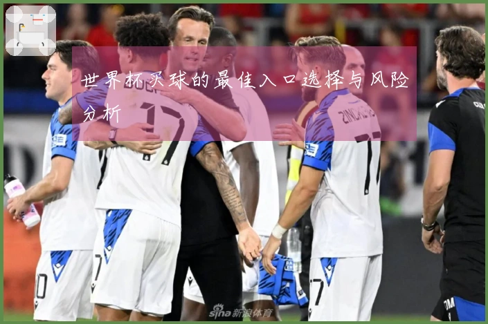 世界杯买球的最佳入口选择与风险分析
