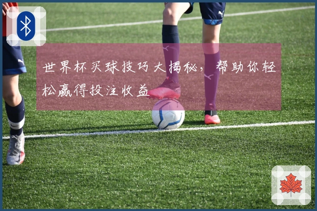 世界杯买球技巧大揭秘，帮助你轻松赢得投注收益
