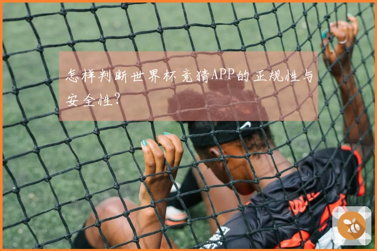 怎样判断世界杯竞猜APP的正规性与安全性？