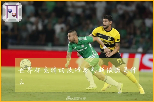 世界杯竞猜的技巧与判断依据是什么
