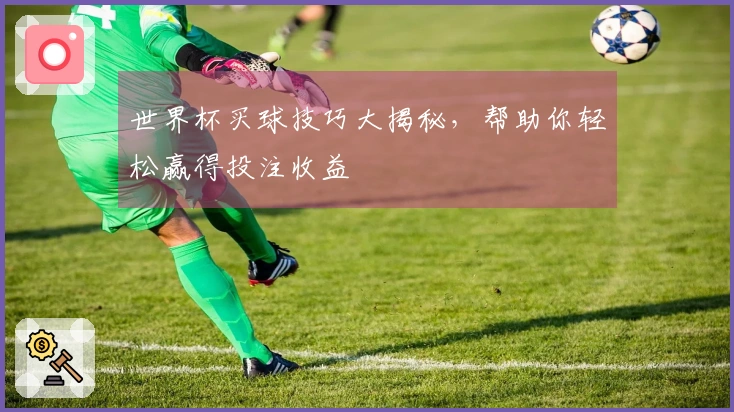 世界杯买球技巧大揭秘，帮助你轻松赢得投注收益