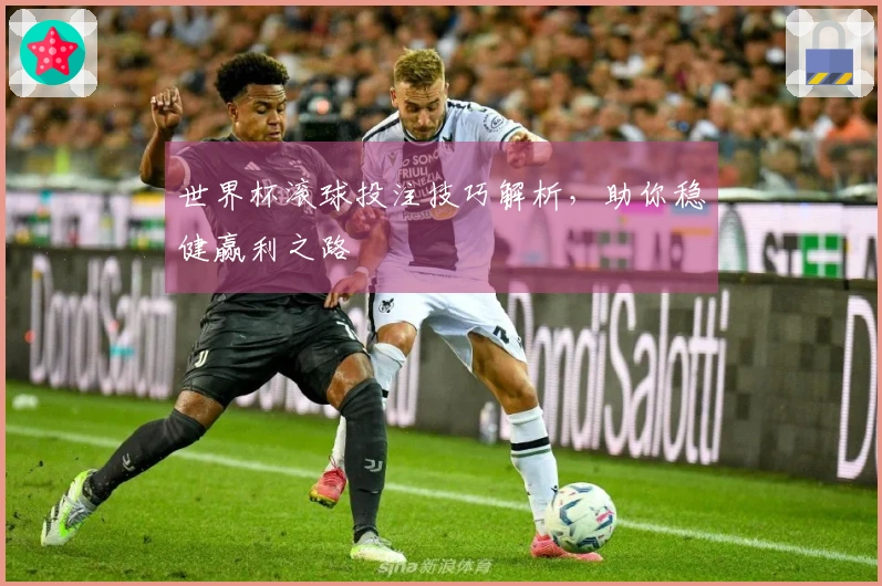 世界杯滚球投注技巧解析，助你稳健赢利之路