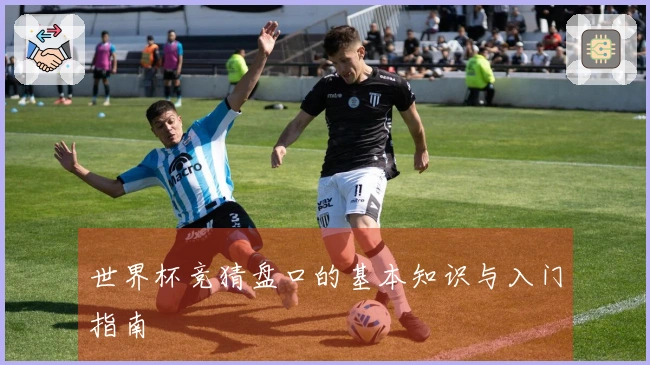 世界杯竞猜盘口的基本知识与入门指南