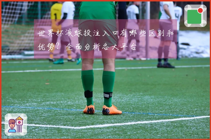 世界杯滚球投注入口有哪些区别和优势？全面分析各大平台