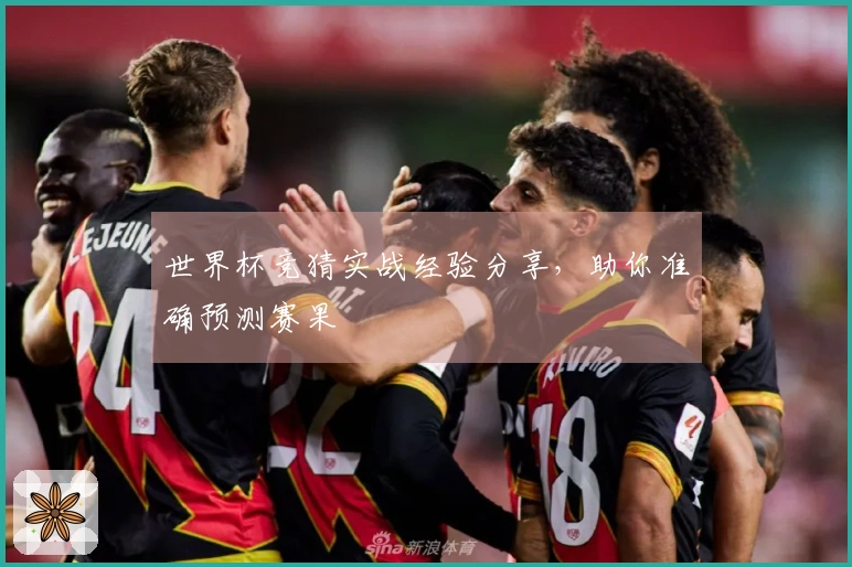 世界杯竞猜实战经验分享，助你准确预测赛果