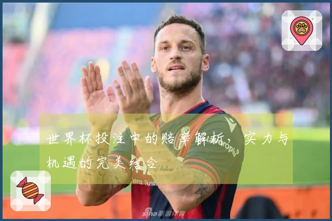 世界杯投注中的赔率解析，实力与机遇的完美结合