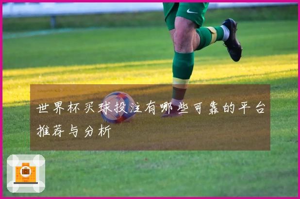 世界杯买球投注有哪些可靠的平台推荐与分析