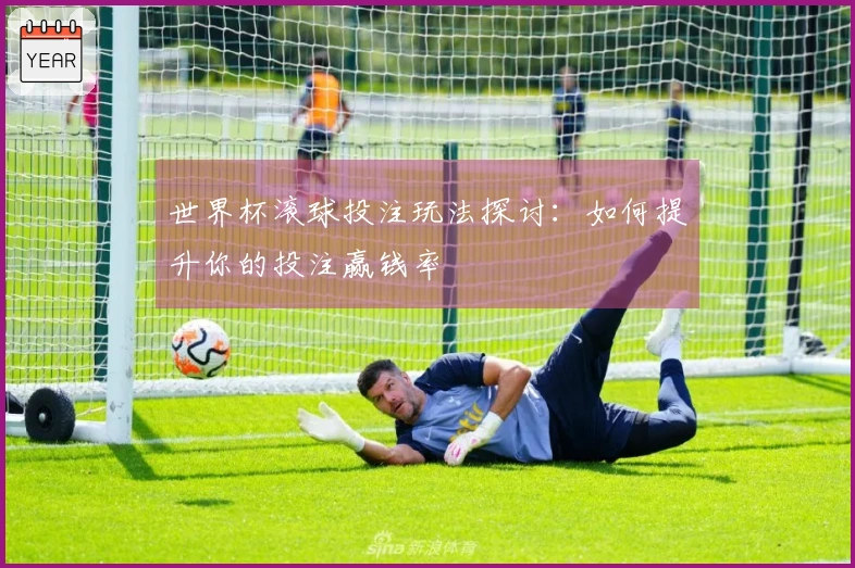世界杯滚球投注玩法探讨：如何提升你的投注赢钱率