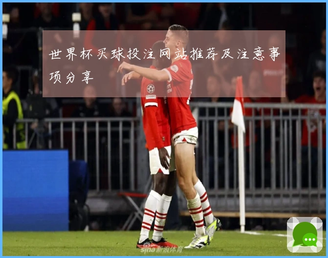 世界杯买球投注网站推荐及注意事项分享