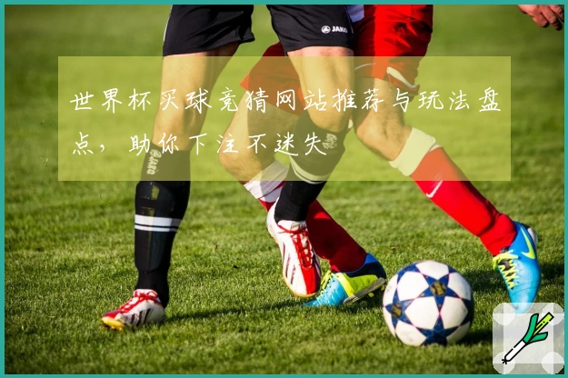 世界杯买球竞猜网站推荐与玩法盘点，助你下注不迷失
